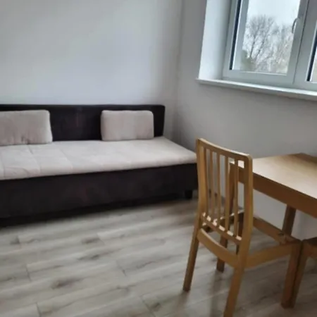 Apartmentaviatorbird